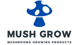 captura de pantalla 2026 01 01 013350