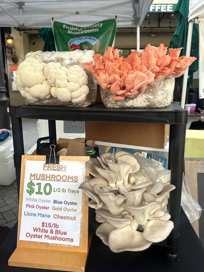 about-01 Display of fresh oyster, lions mane, and chestnut mushrooms at a market stall.