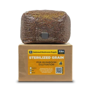 sterilized grain with injection port